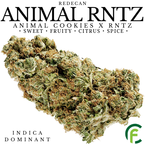 Animal Rntz Blunders Redecan - Animal Rntz - 3.5g | Flowertown Cannabis in Ontario ...