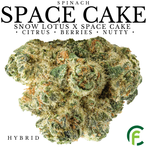 Product image Space Cake 1