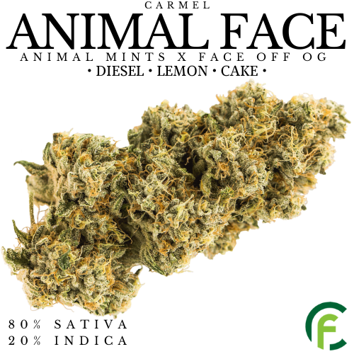 Product image Animal Face 1