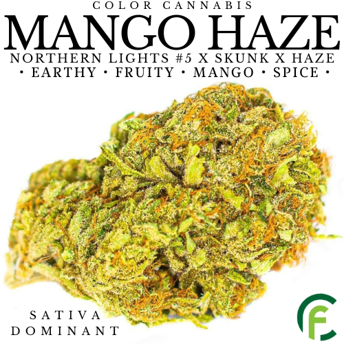 Product image Mango Haze  CBD:THC 1