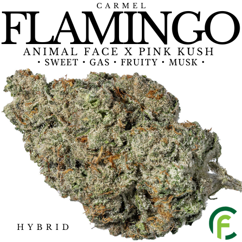 Product image Flamingo 1