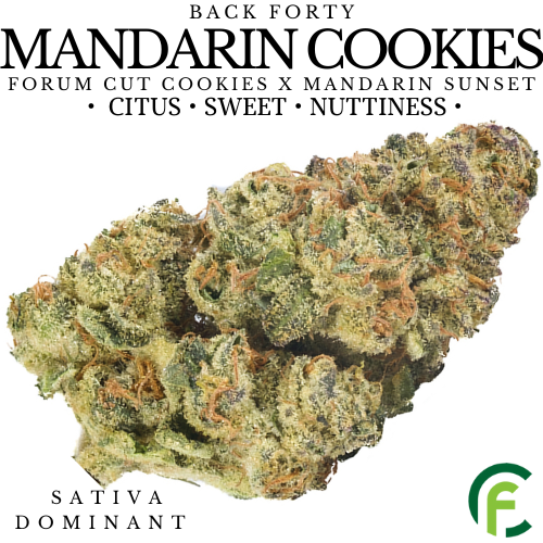 Product image Mandarin Cookies 1