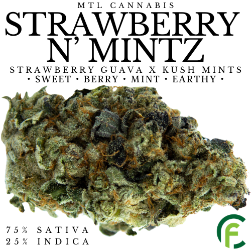 Product image Strawberry N' Mintz 1